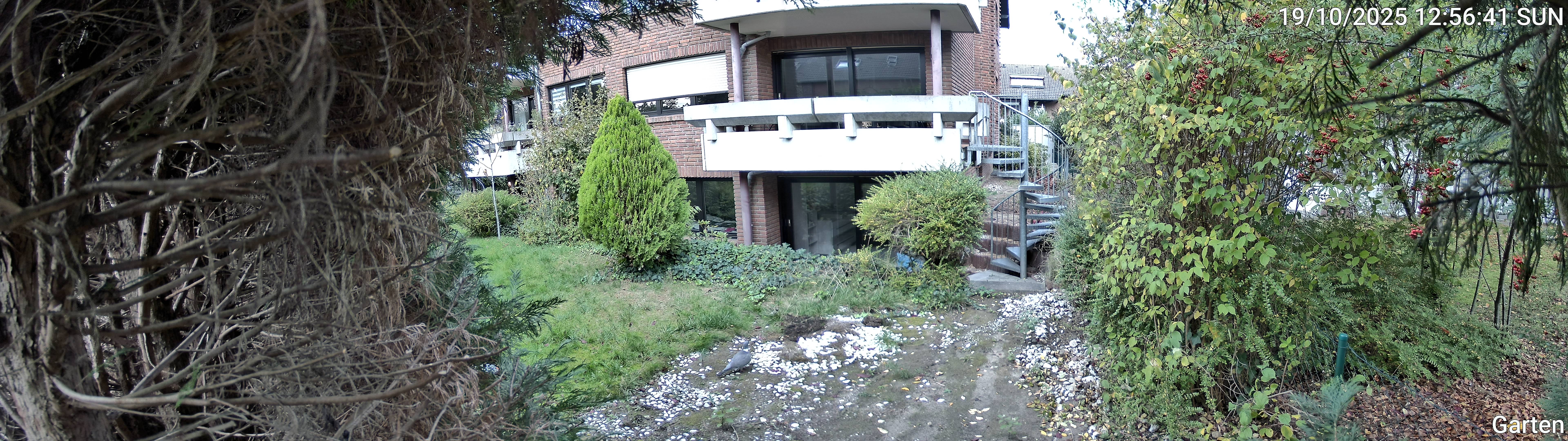 Garten_00_20251019125641.jpg