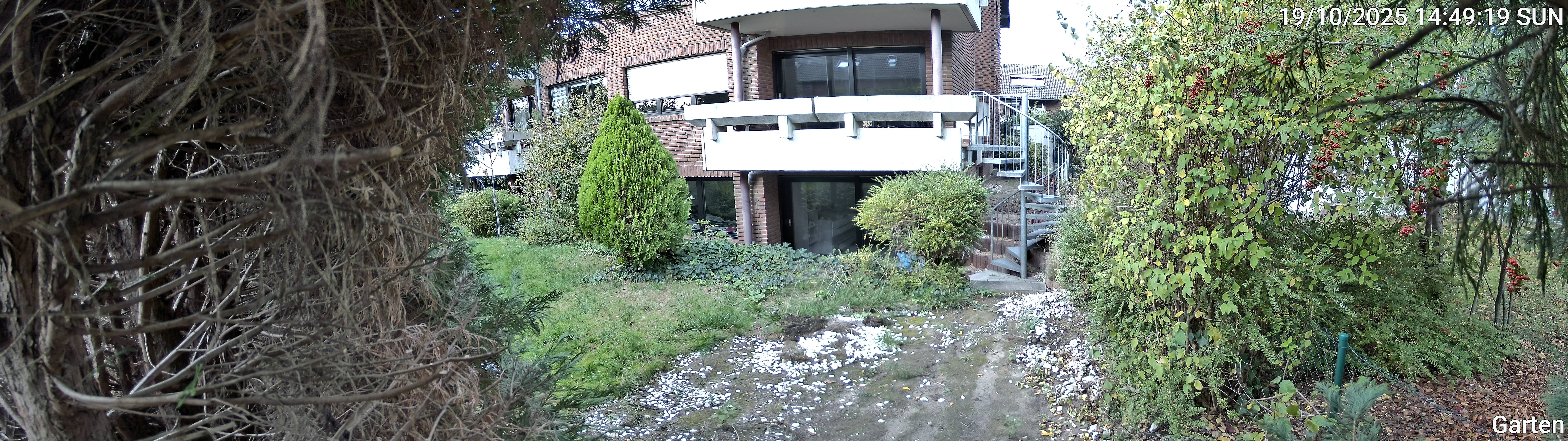Garten_00_20251019144919.jpg