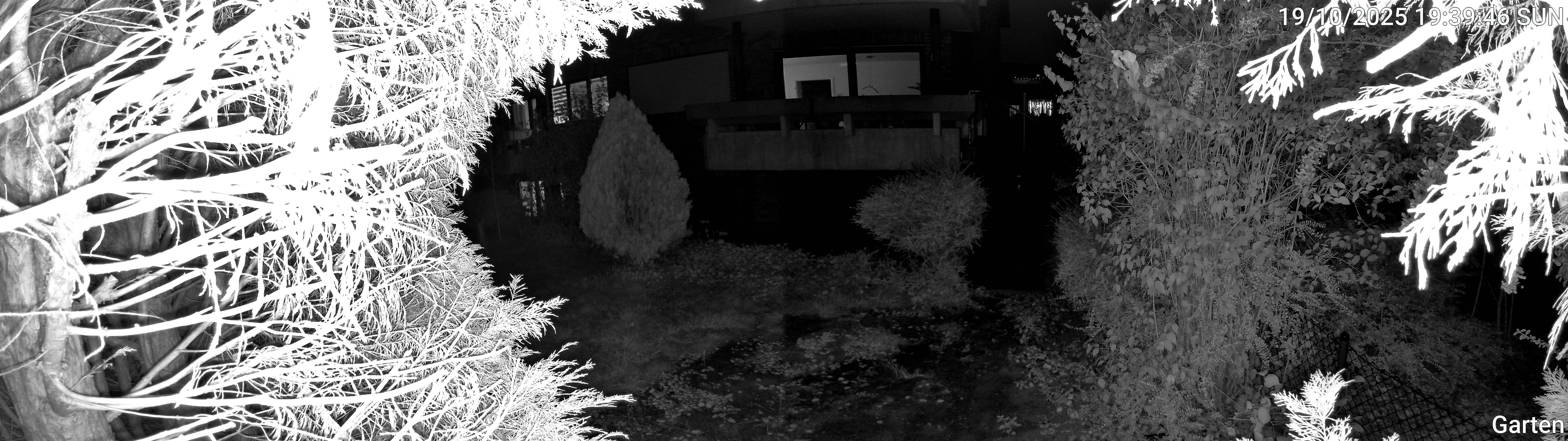 Garten_00_20251019193947.jpg
