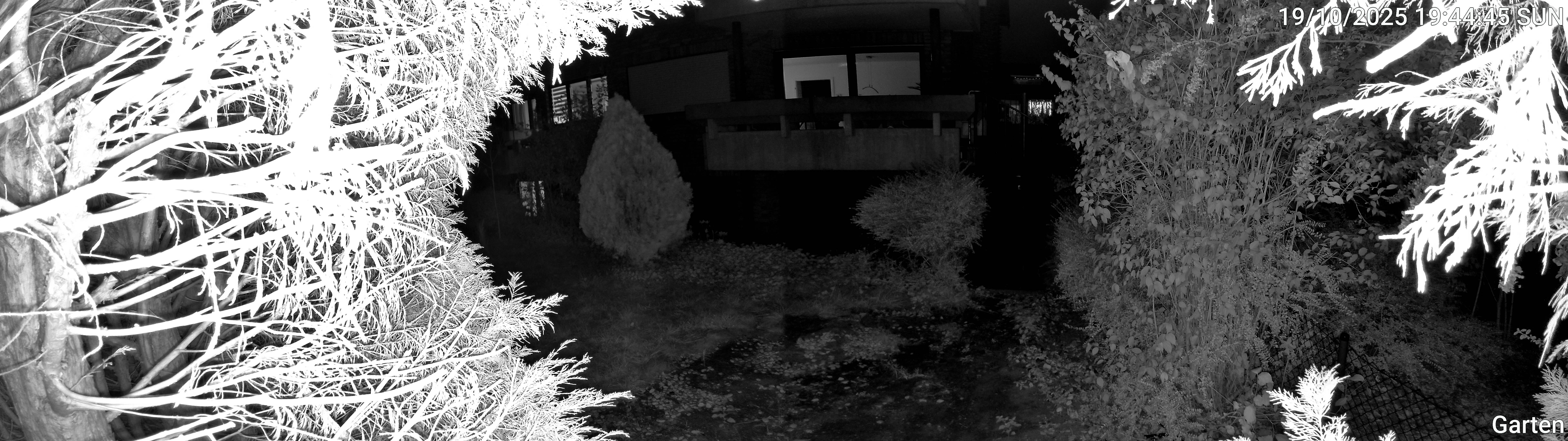 Garten_00_20251019194445.jpg