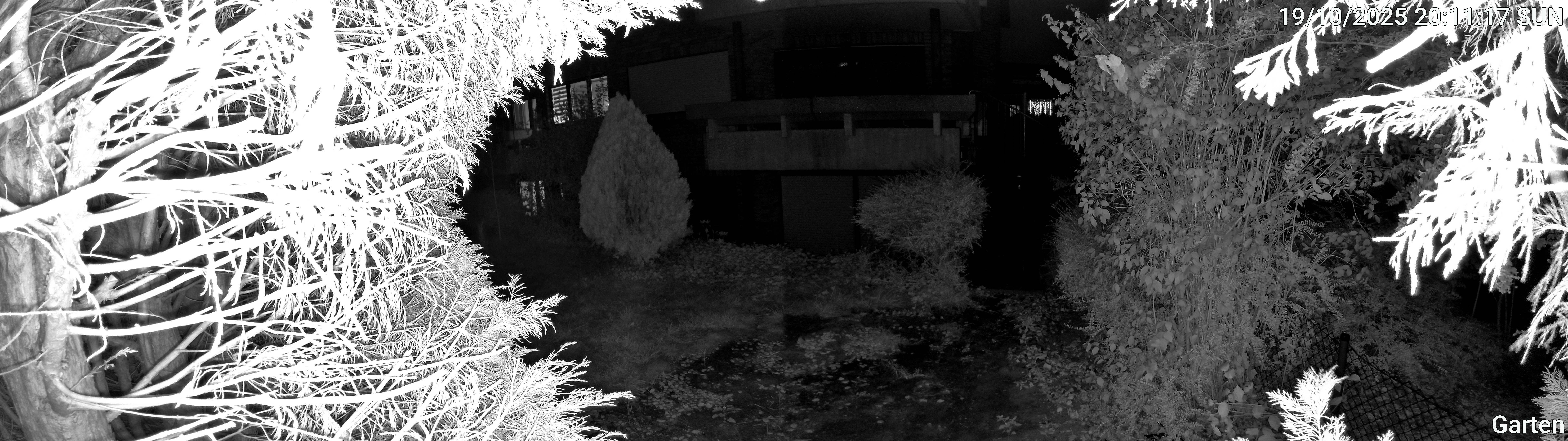 Garten_00_20251019201117.jpg