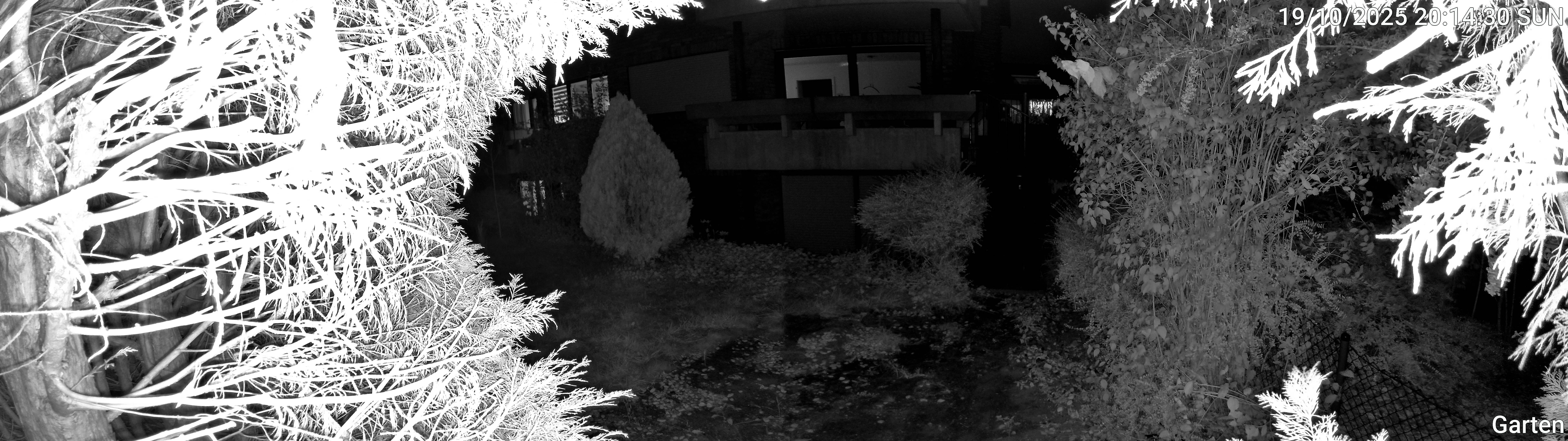 Garten_00_20251019201430.jpg