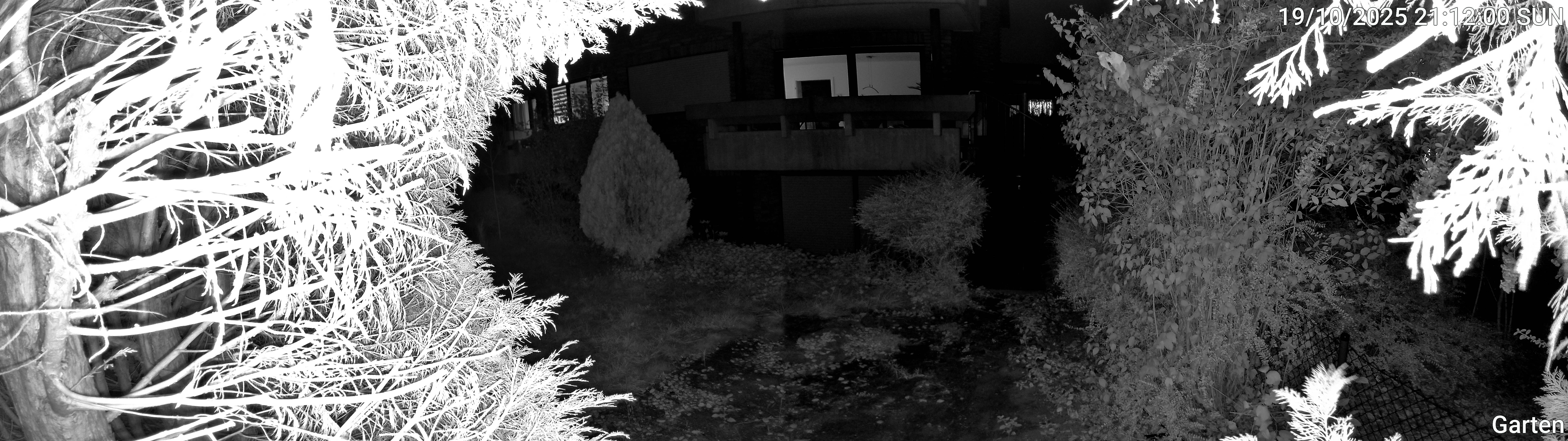 Garten_00_20251019211200.jpg