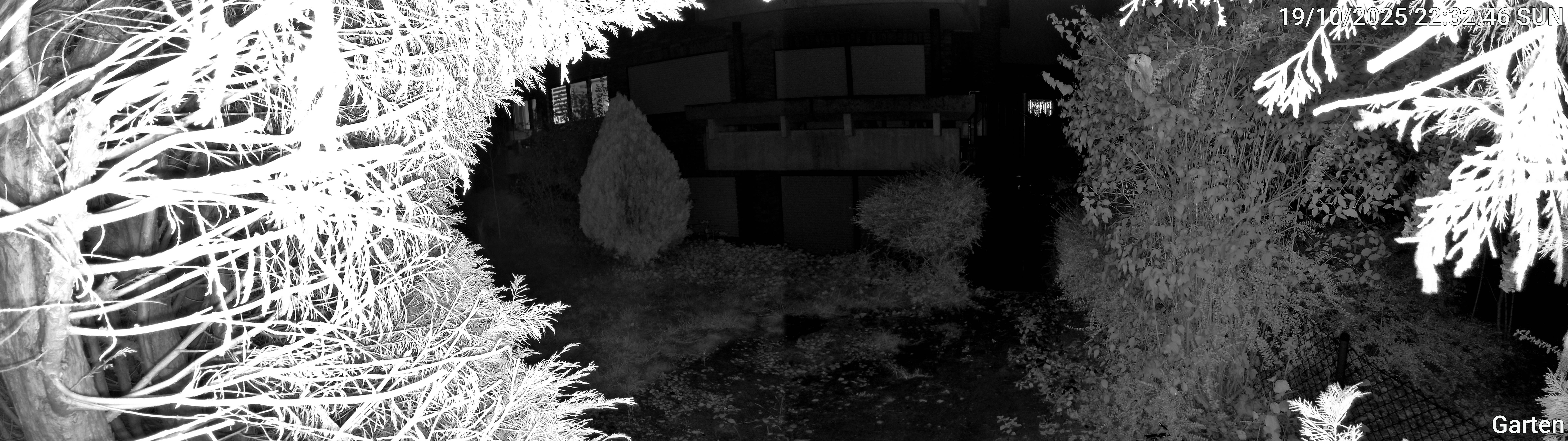 Garten_00_20251019223246.jpg