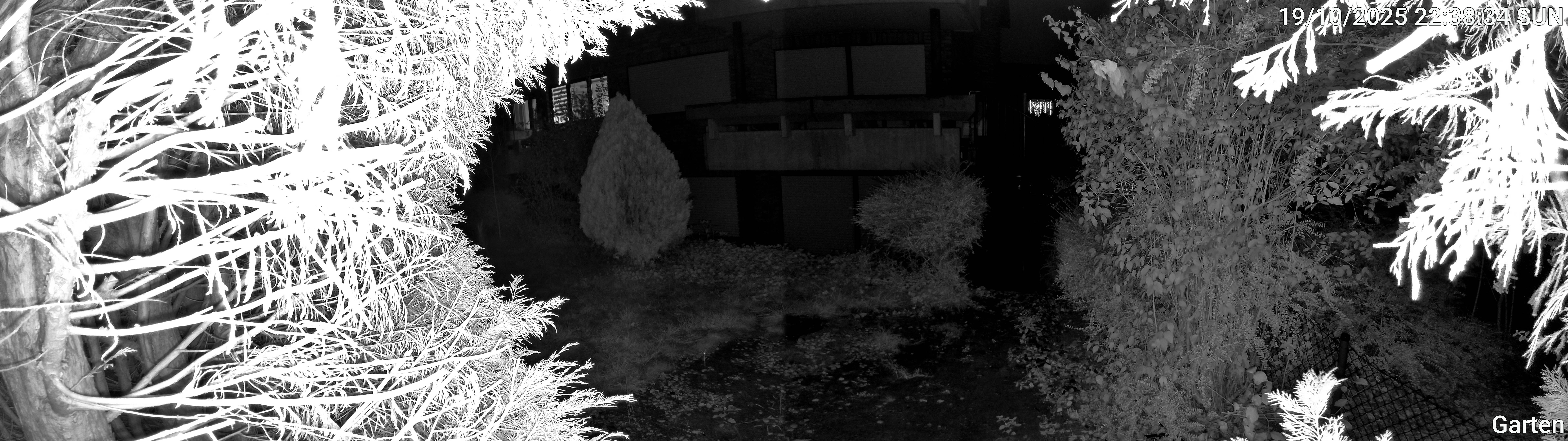 Garten_00_20251019223834.jpg