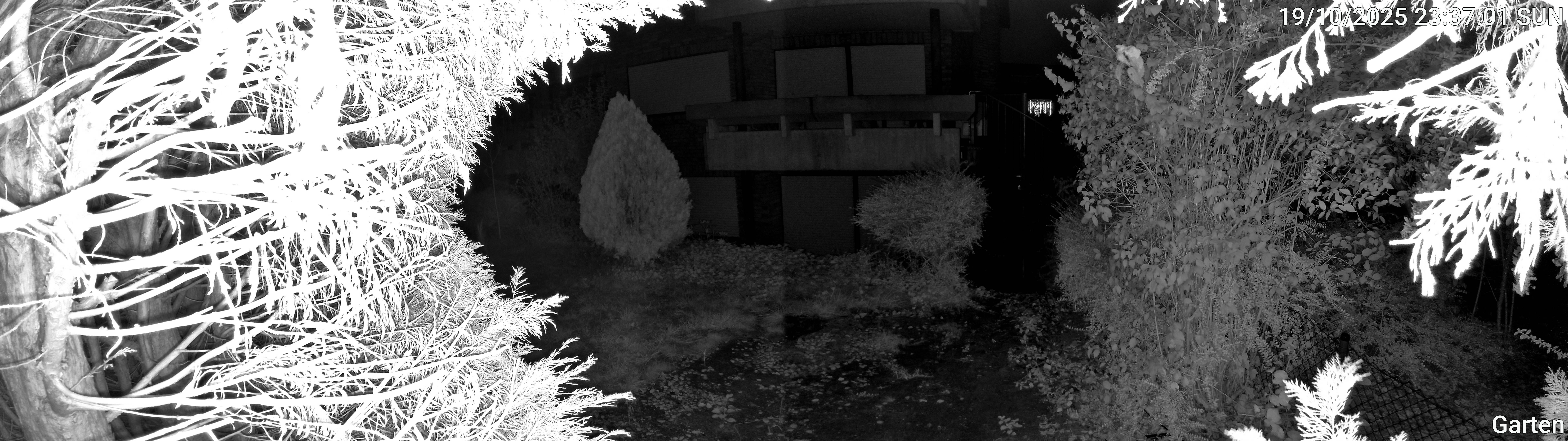 Garten_00_20251019233701.jpg