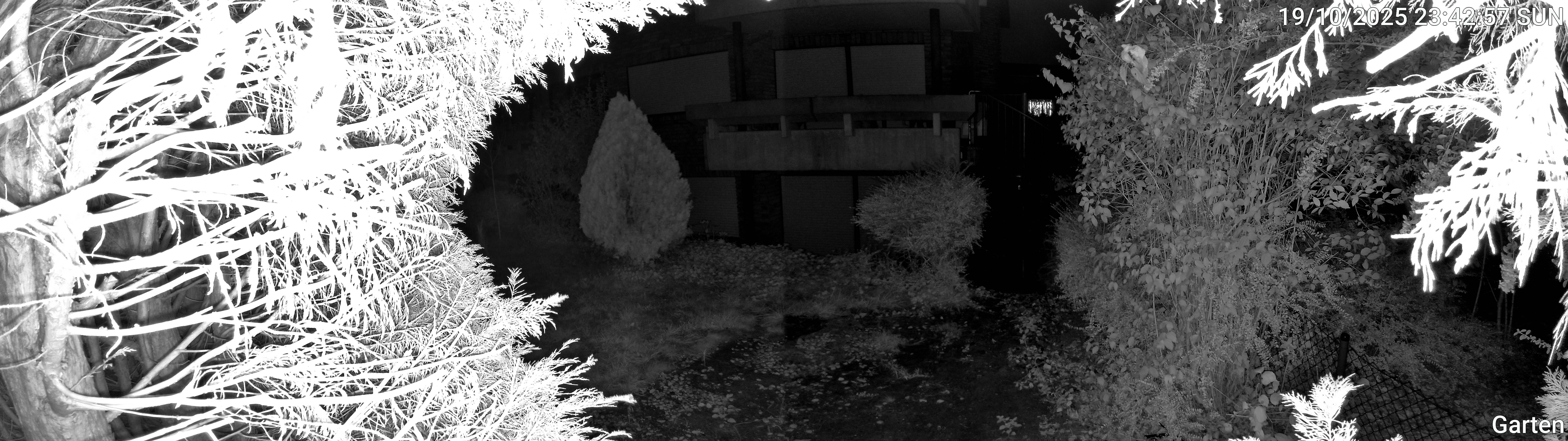 Garten_00_20251019234257.jpg