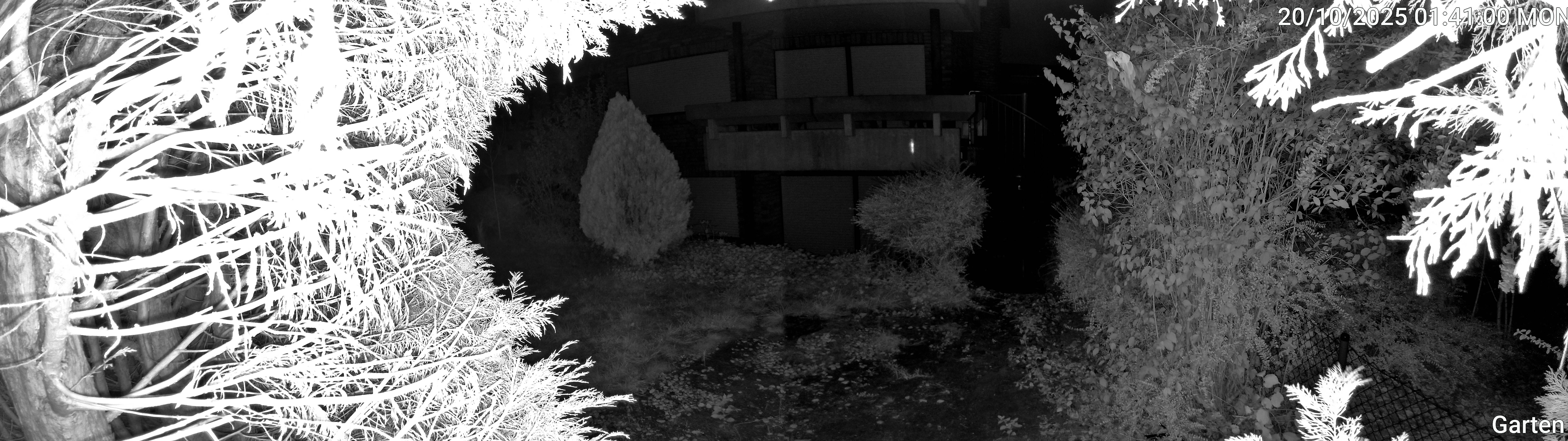 Garten_00_20251020014100.jpg