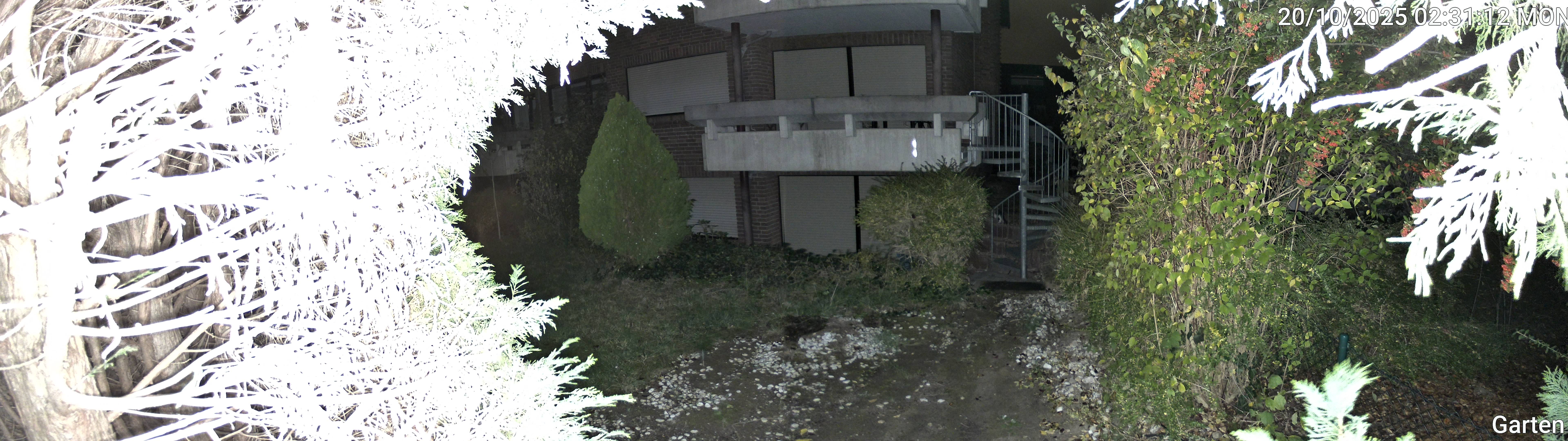 Garten_00_20251020023112.jpg