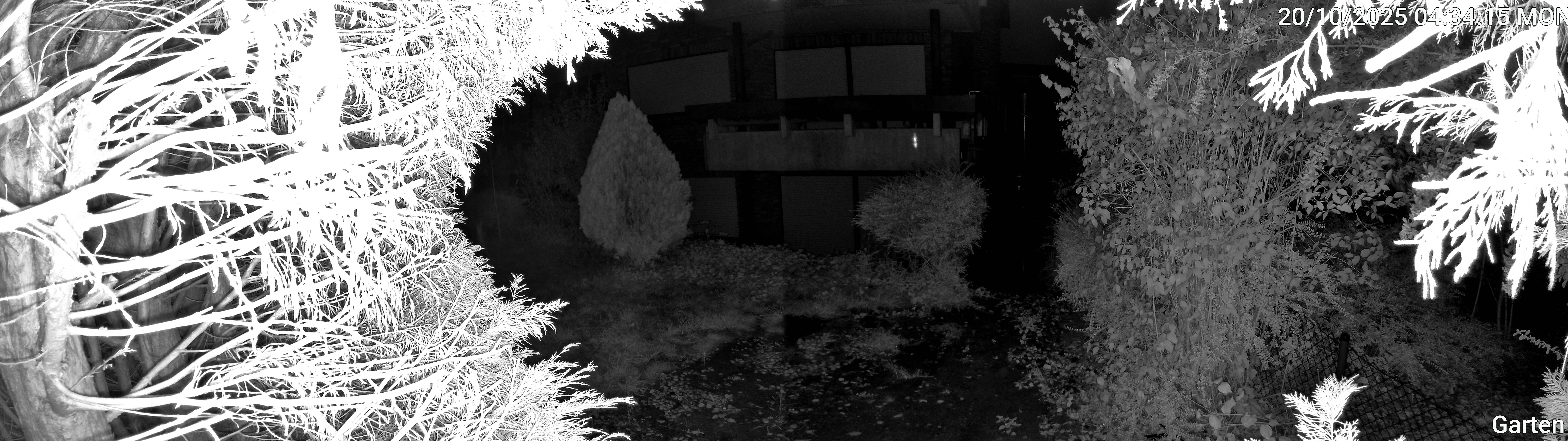 Garten_00_20251020043415.jpg