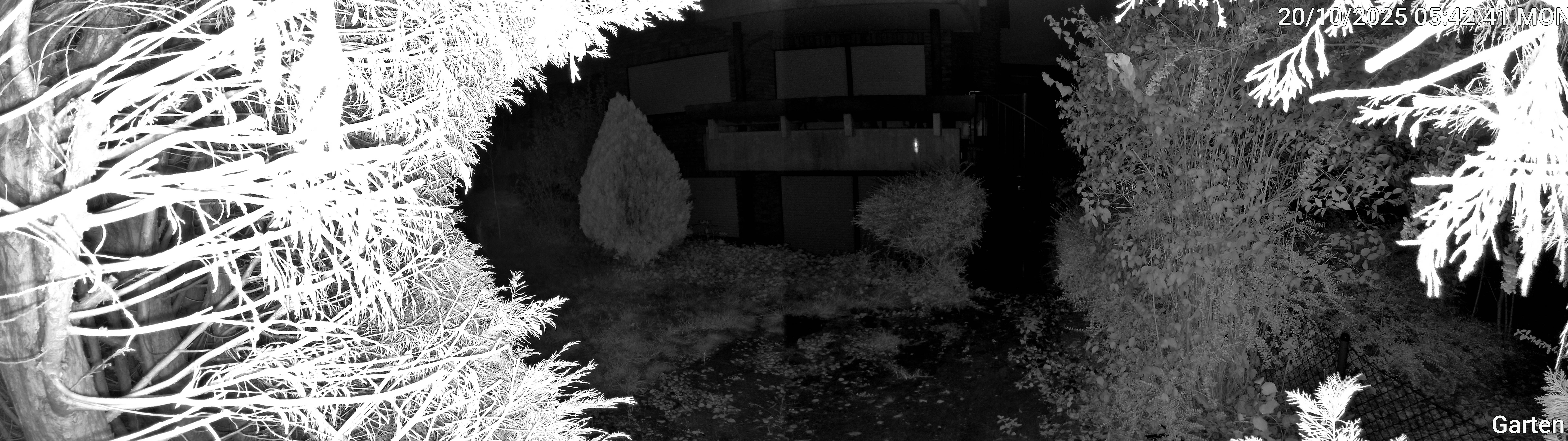 Garten_00_20251020054241.jpg