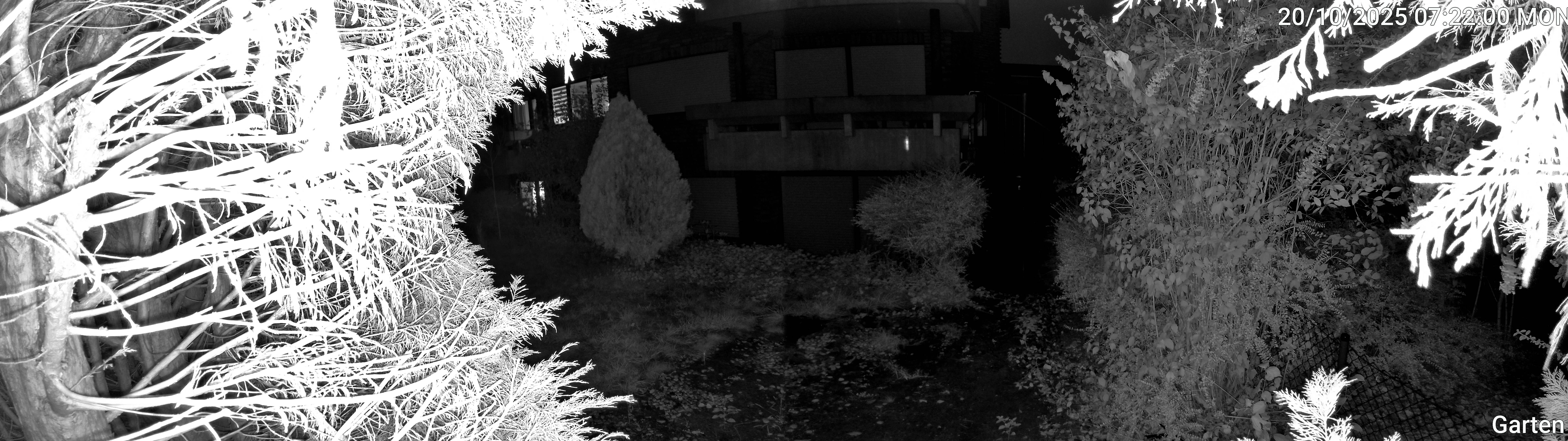 Garten_00_20251020072201.jpg