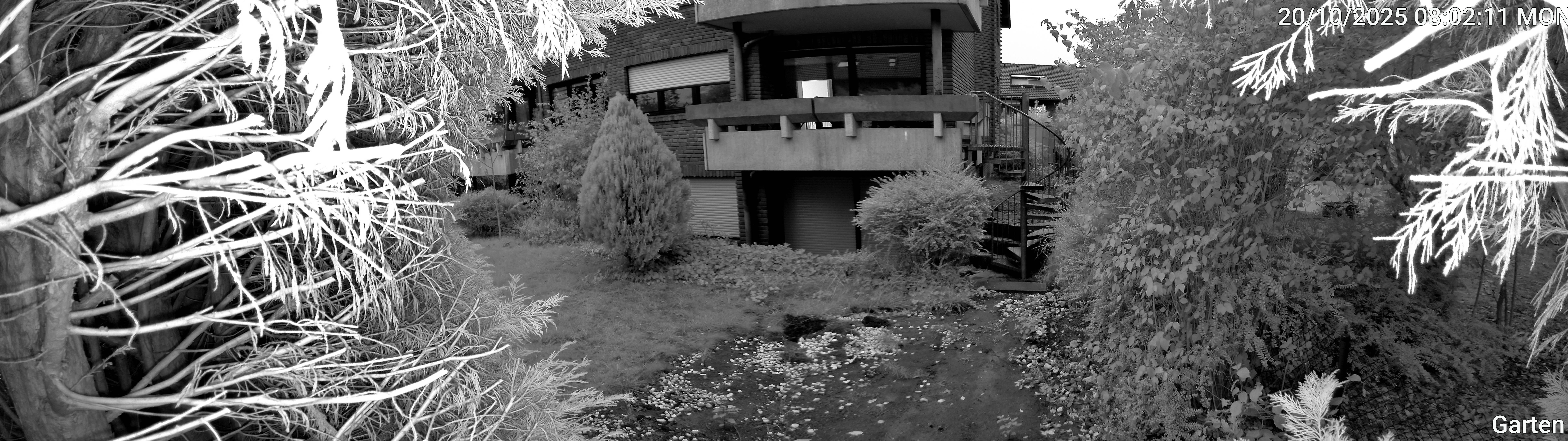 Garten_00_20251020080212.jpg