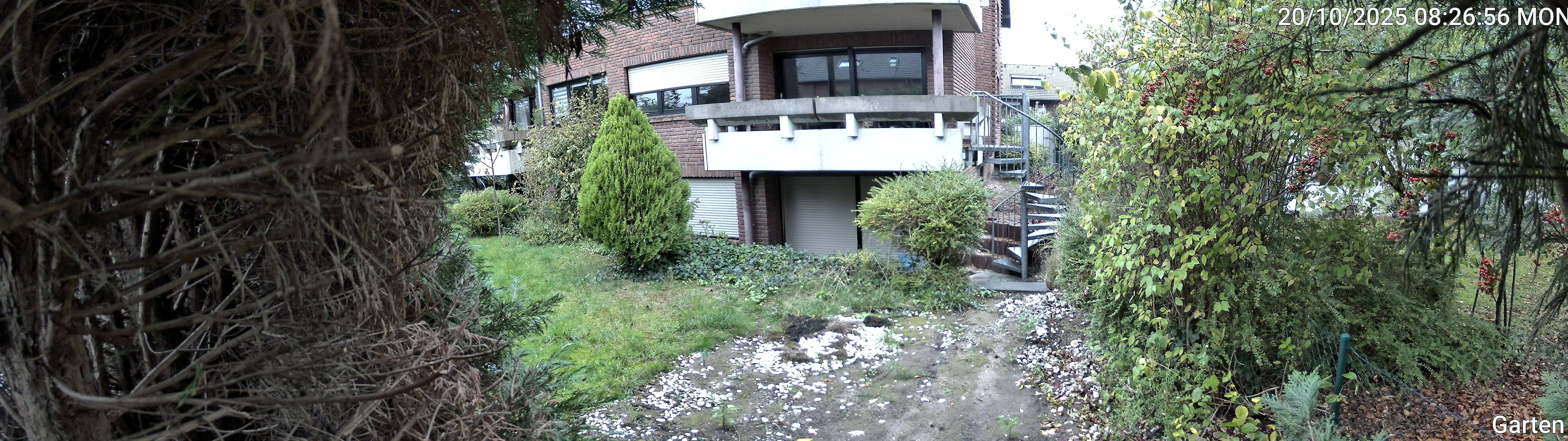 Garten_00_20251020082657.jpg