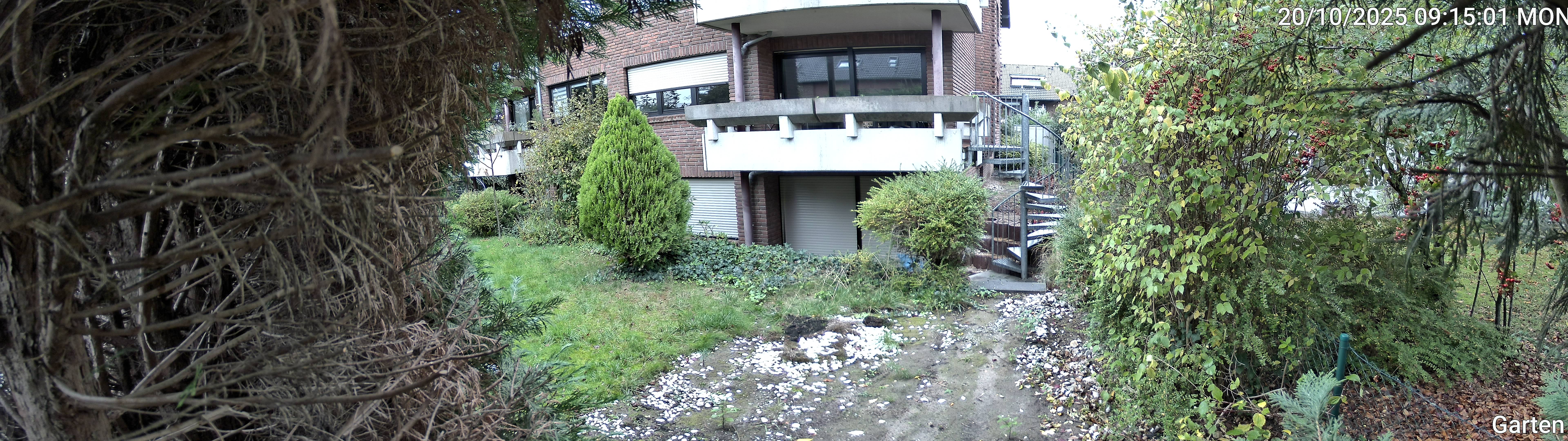 Garten_00_20251020091501.jpg