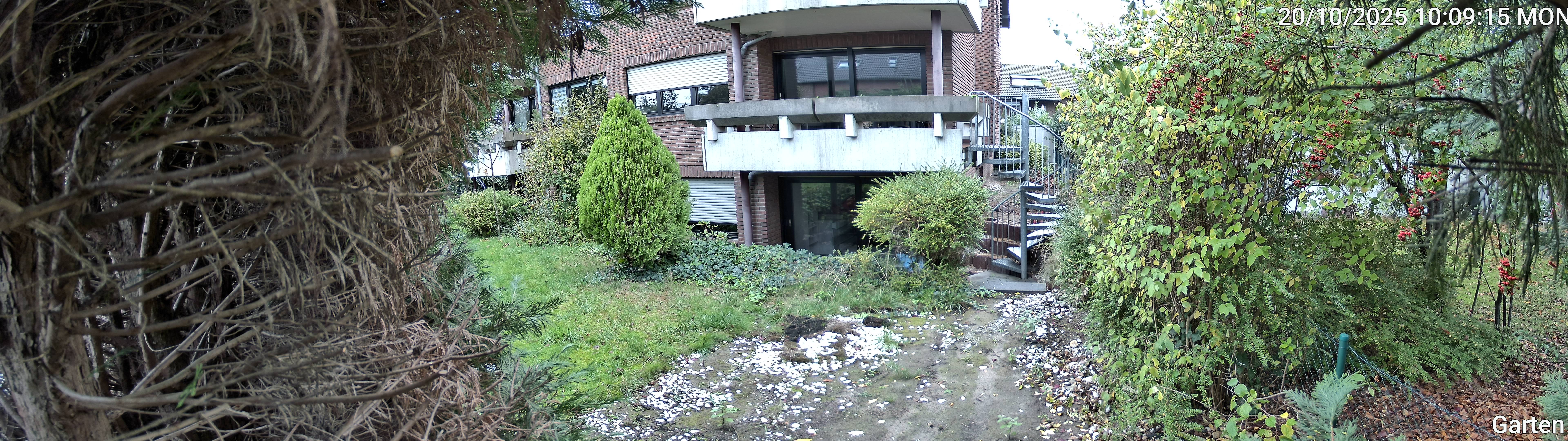 Garten_00_20251020100915.jpg