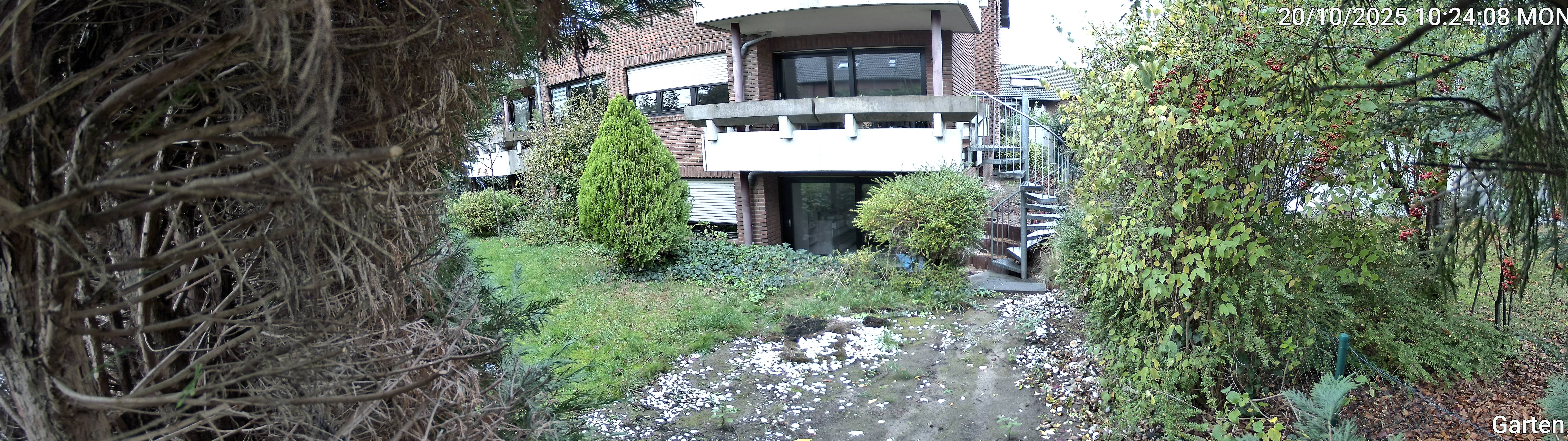 Garten_00_20251020102408.jpg