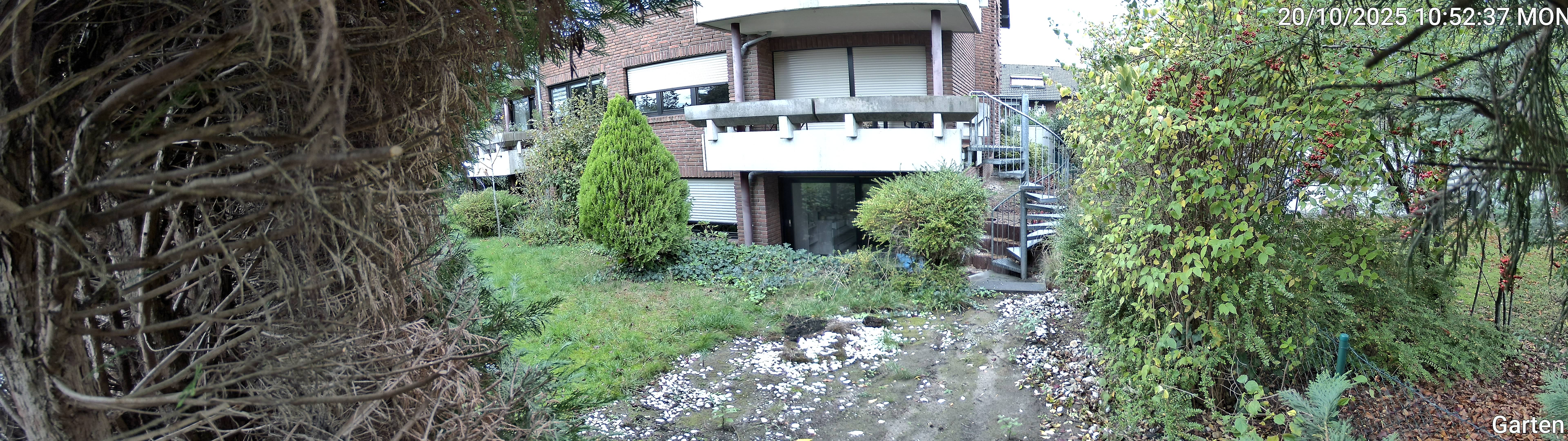 Garten_00_20251020105237.jpg