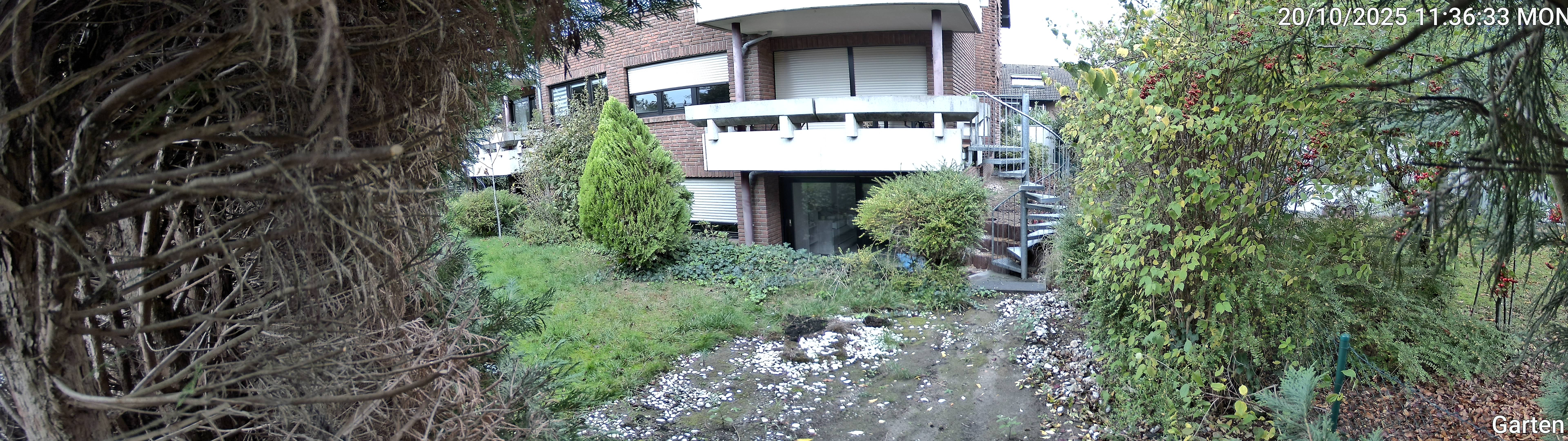 Garten_00_20251020113633.jpg