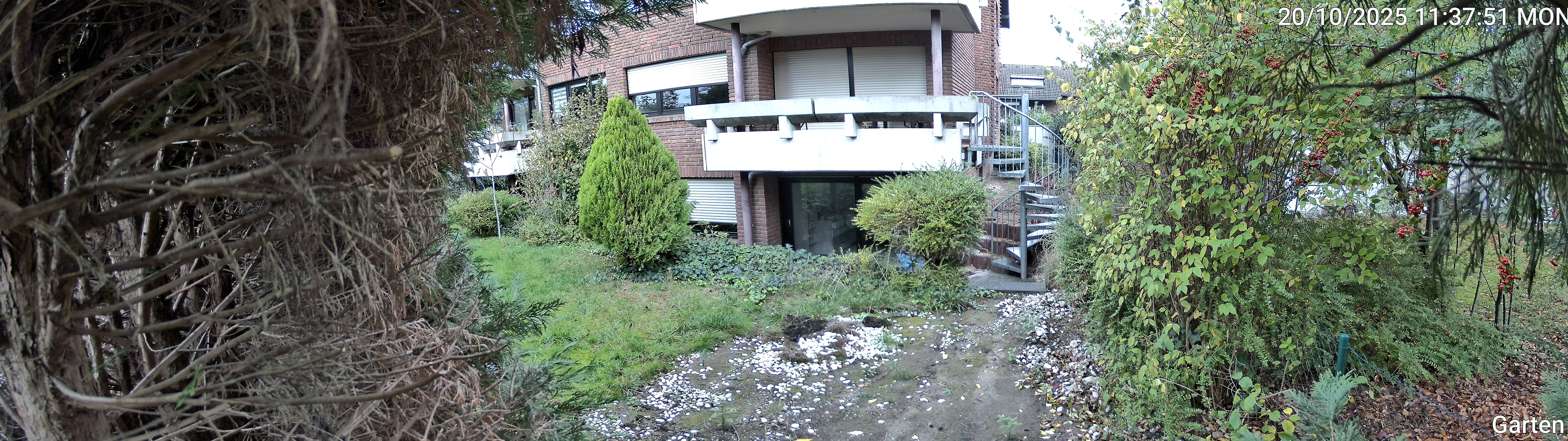 Garten_00_20251020113751.jpg
