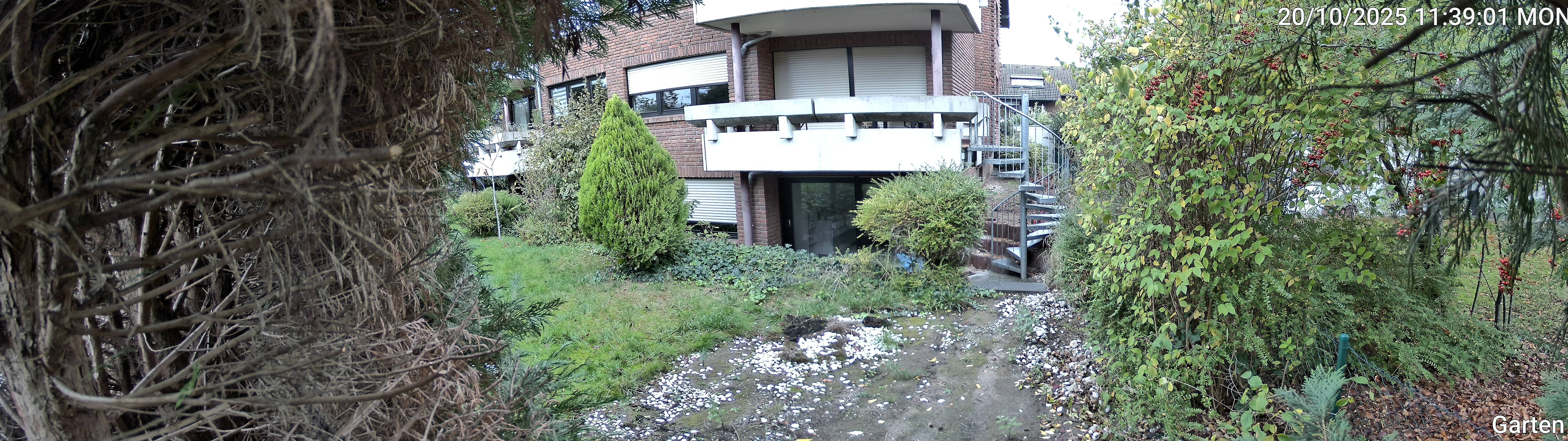 Garten_00_20251020113901.jpg