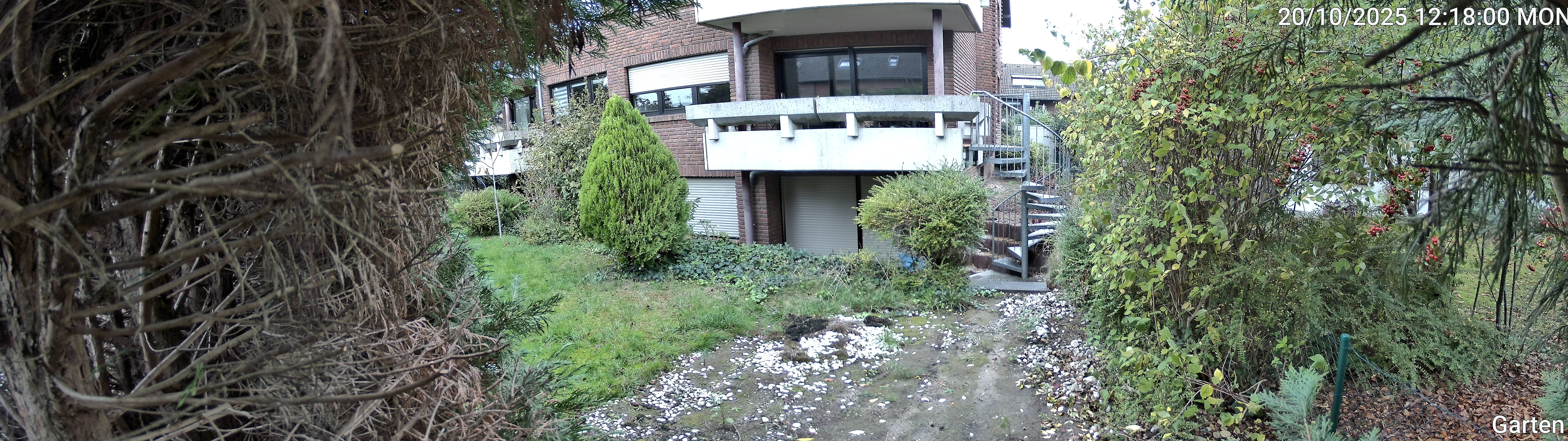 Garten_00_20251020121800.jpg
