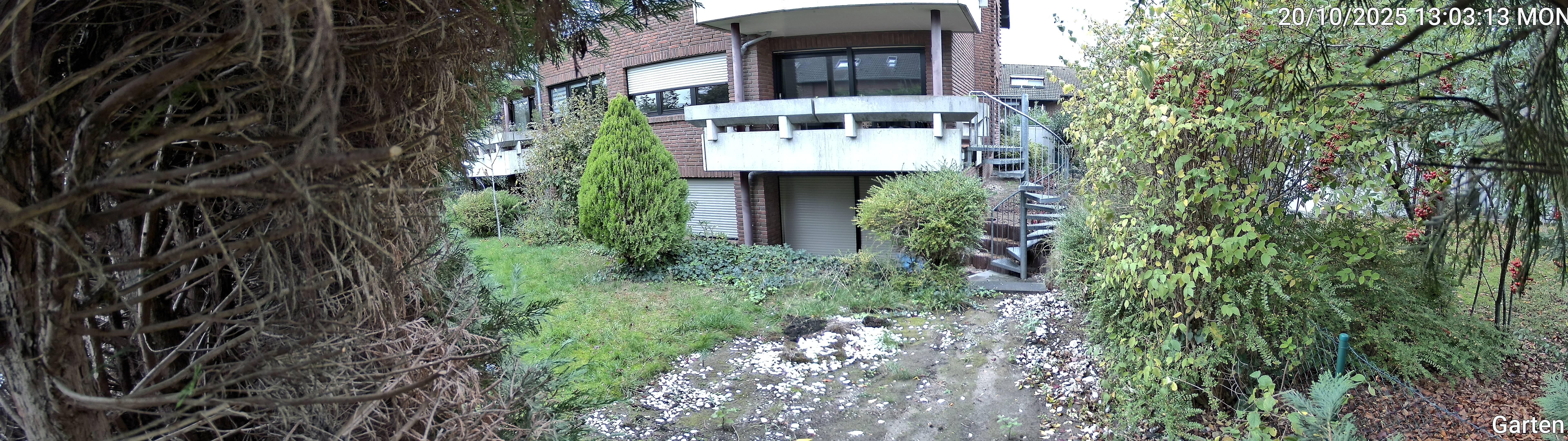 Garten_00_20251020130313.jpg