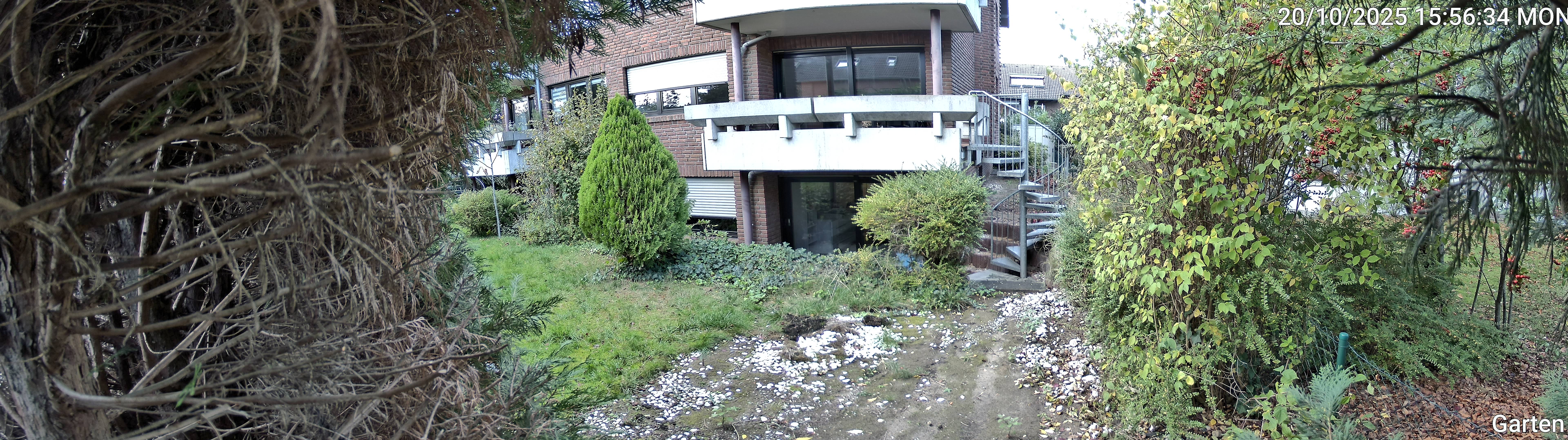 Garten_00_20251020155634.jpg