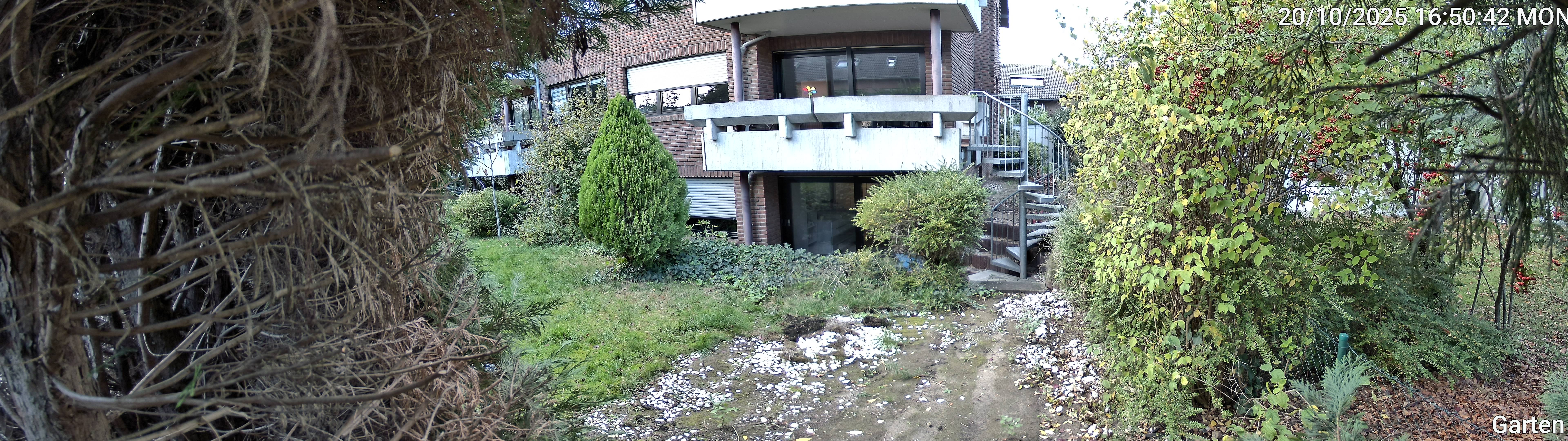 Garten_00_20251020165042.jpg