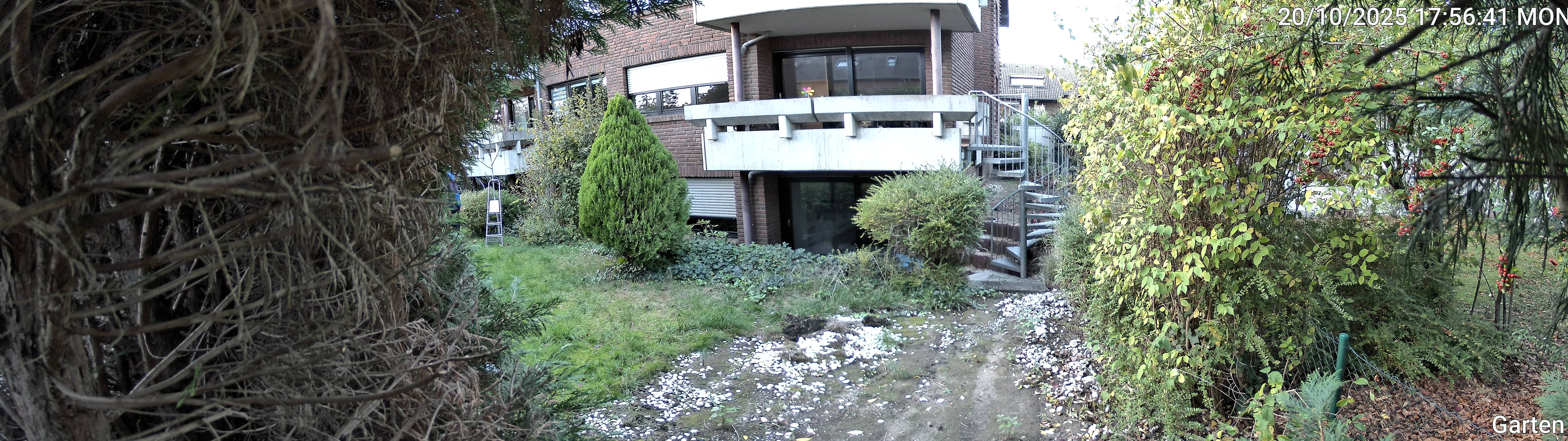 Garten_00_20251020175641.jpg
