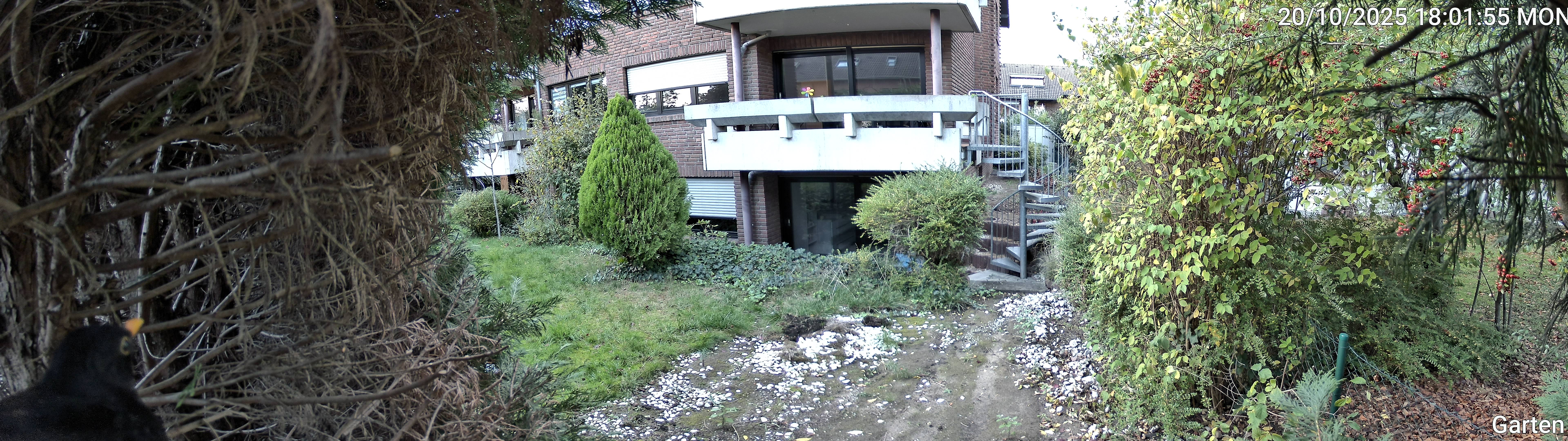 Garten_00_20251020180155.jpg