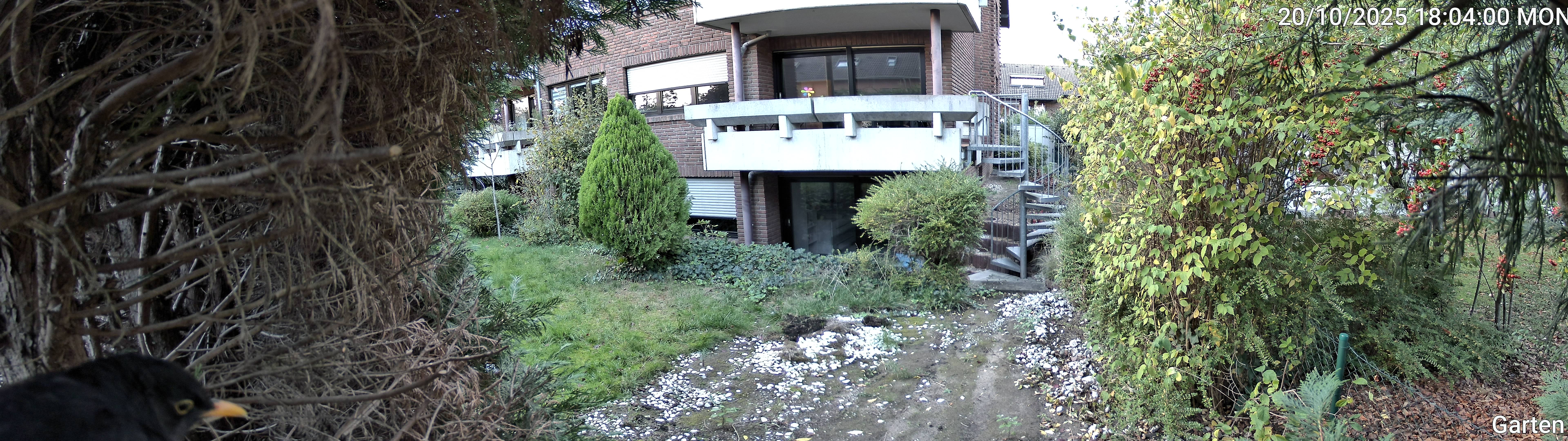 Garten_00_20251020180400.jpg