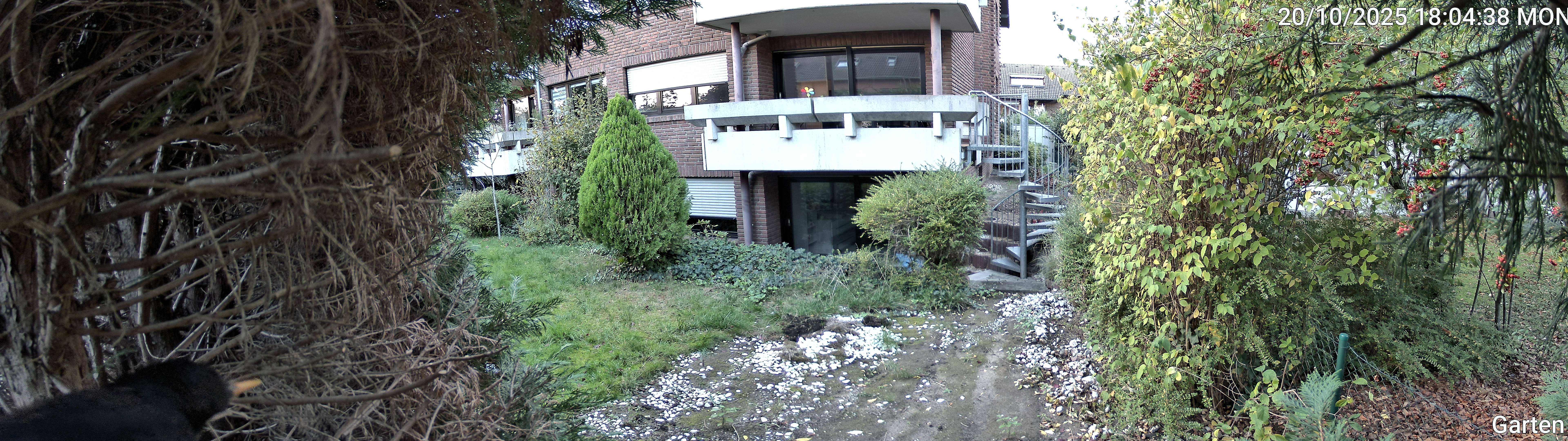 Garten_00_20251020180438.jpg