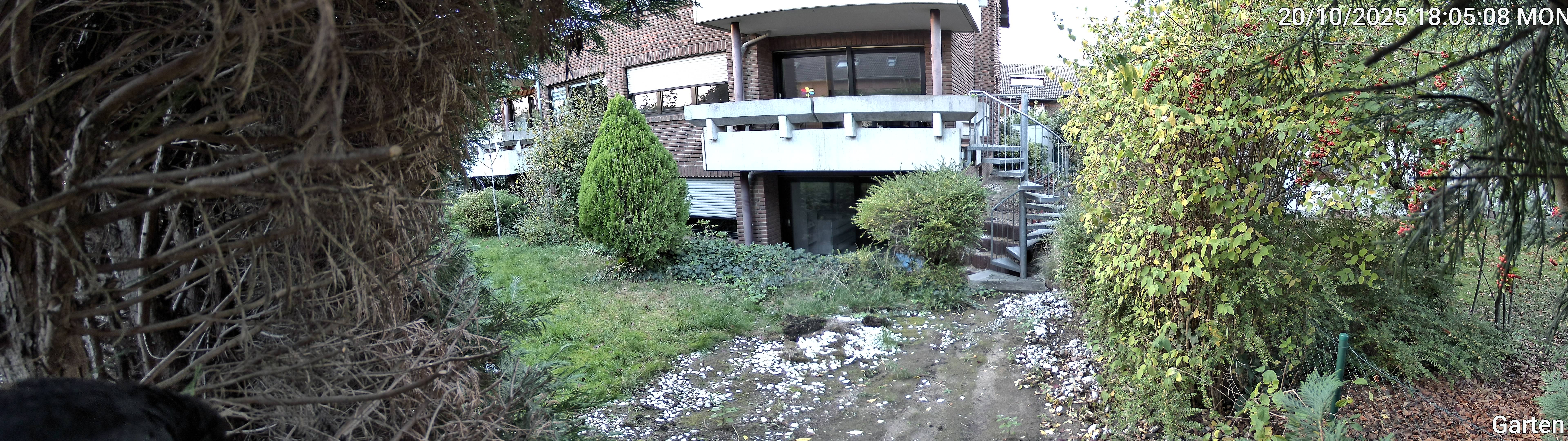 Garten_00_20251020180508.jpg