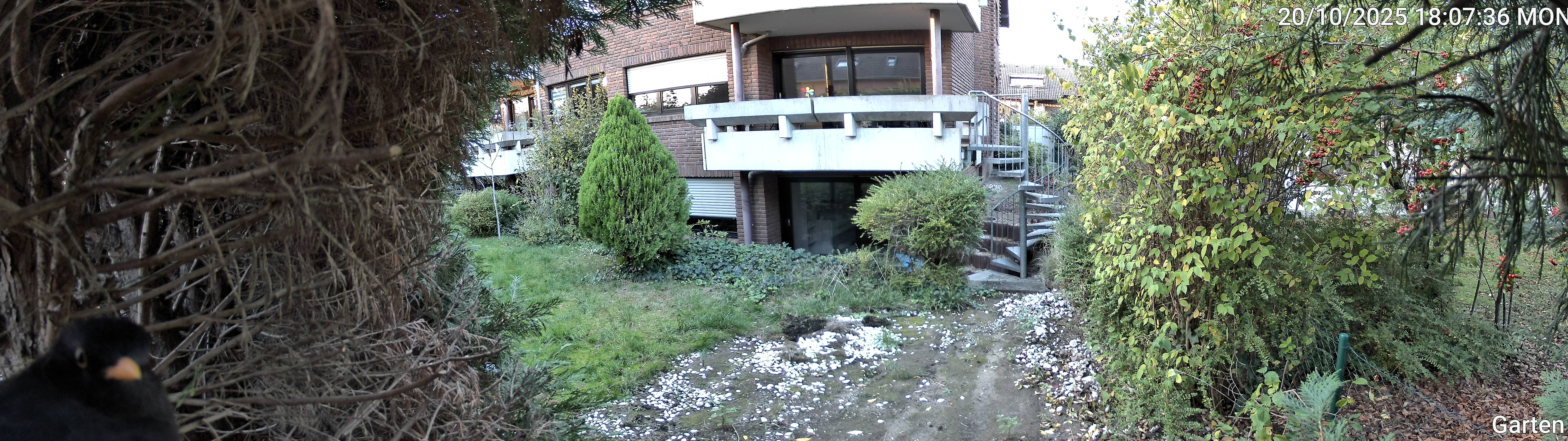 Garten_00_20251020180736.jpg