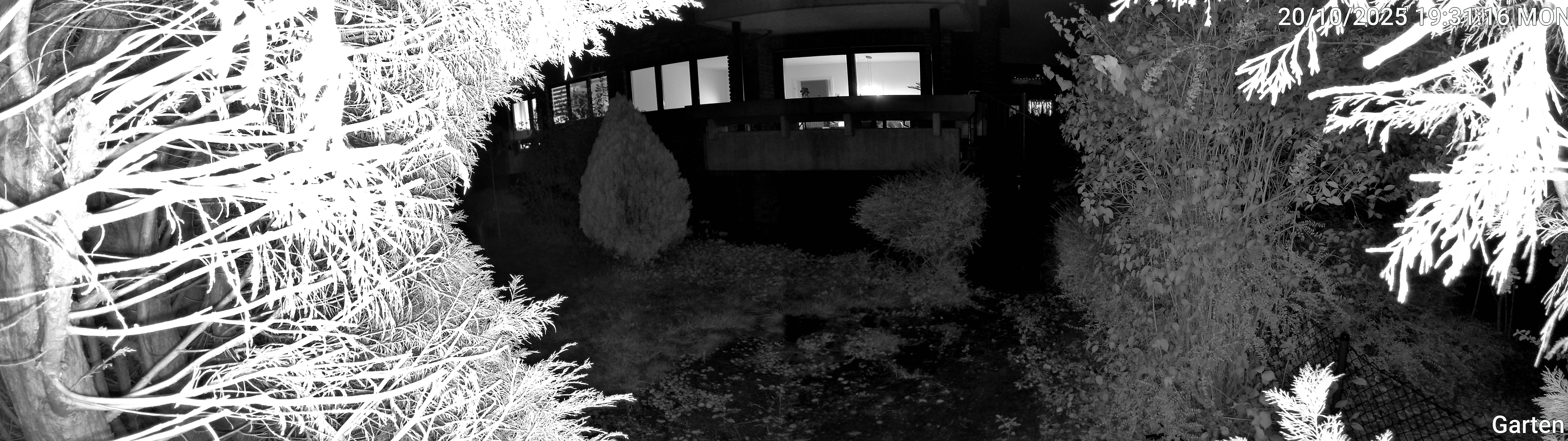Garten_00_20251020193117.jpg