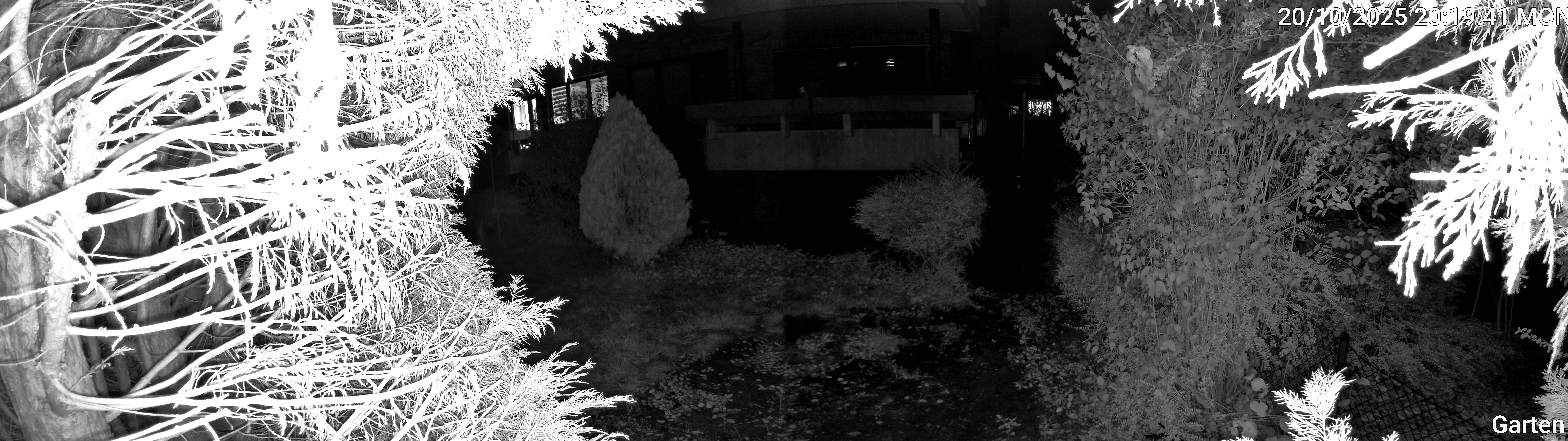 Garten_00_20251020201941.jpg