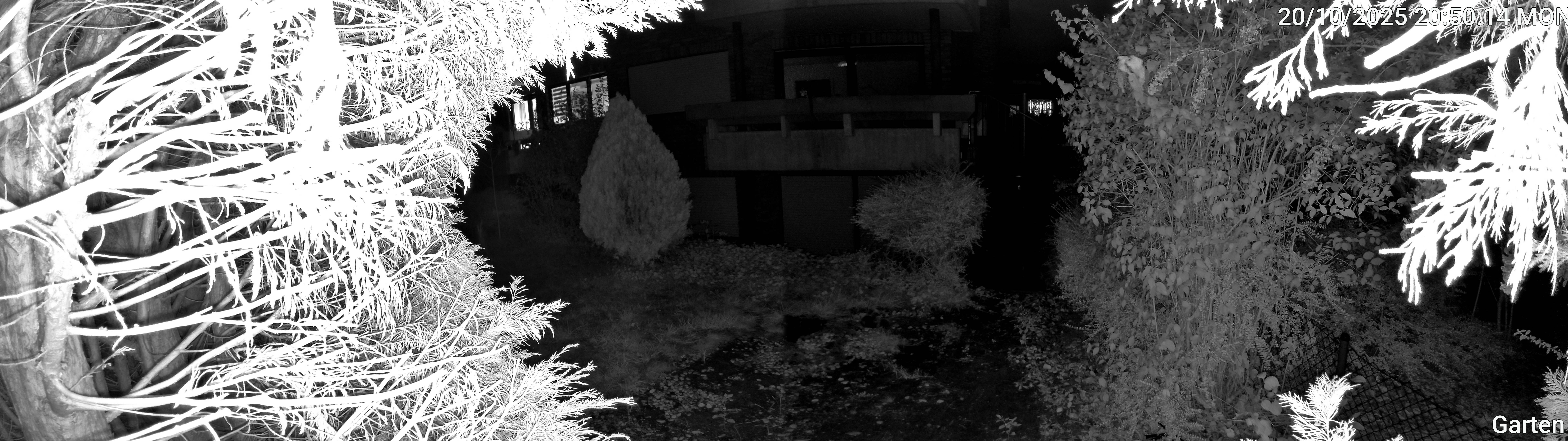 Garten_00_20251020205014.jpg