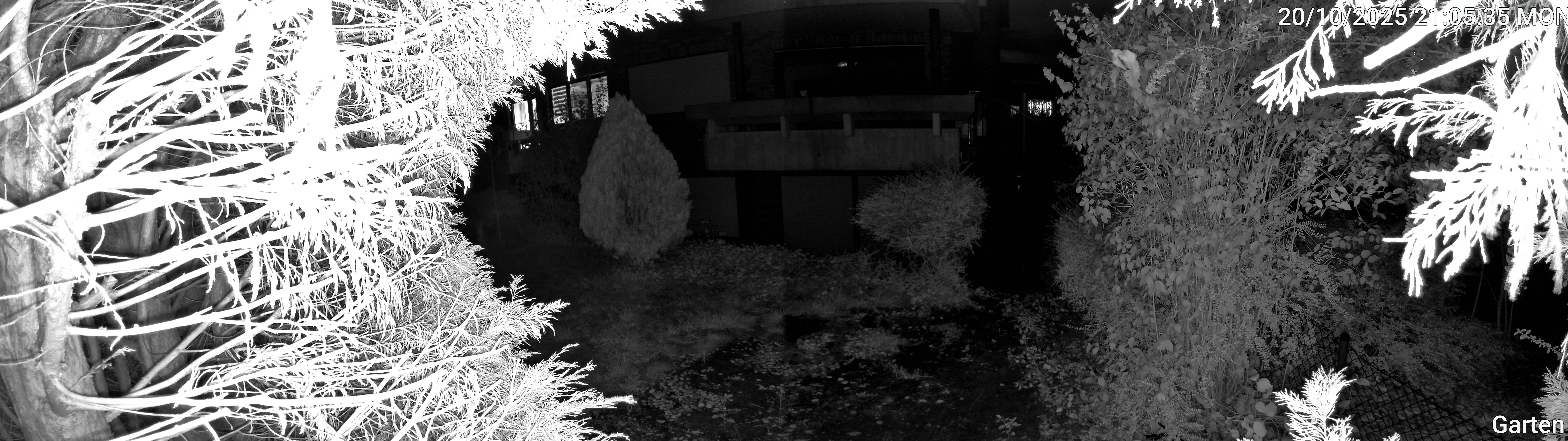 Garten_00_20251020210535.jpg