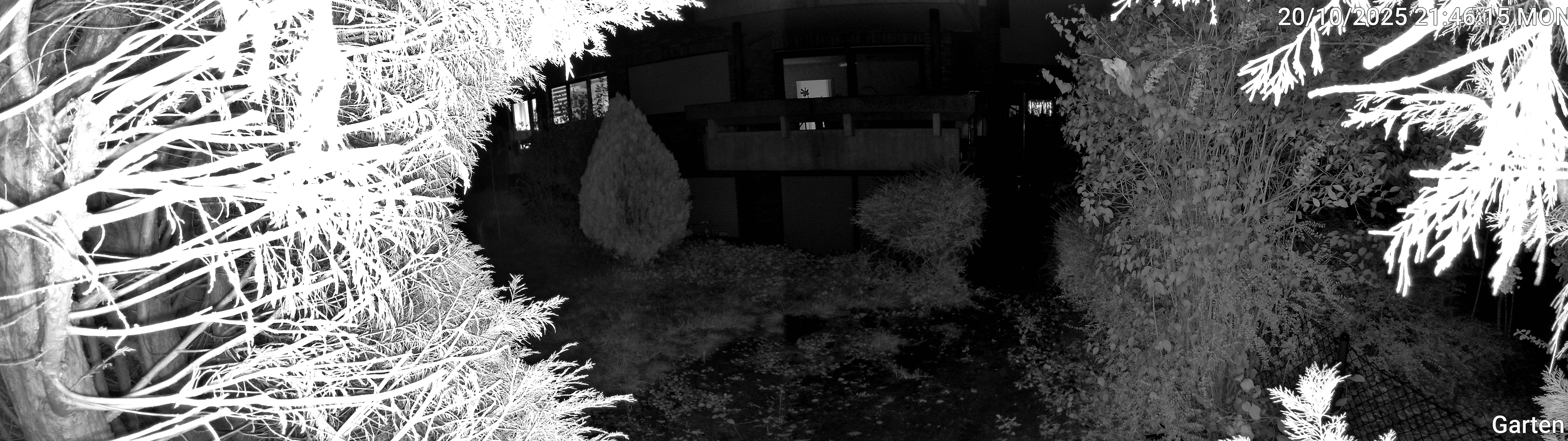 Garten_00_20251020214615.jpg