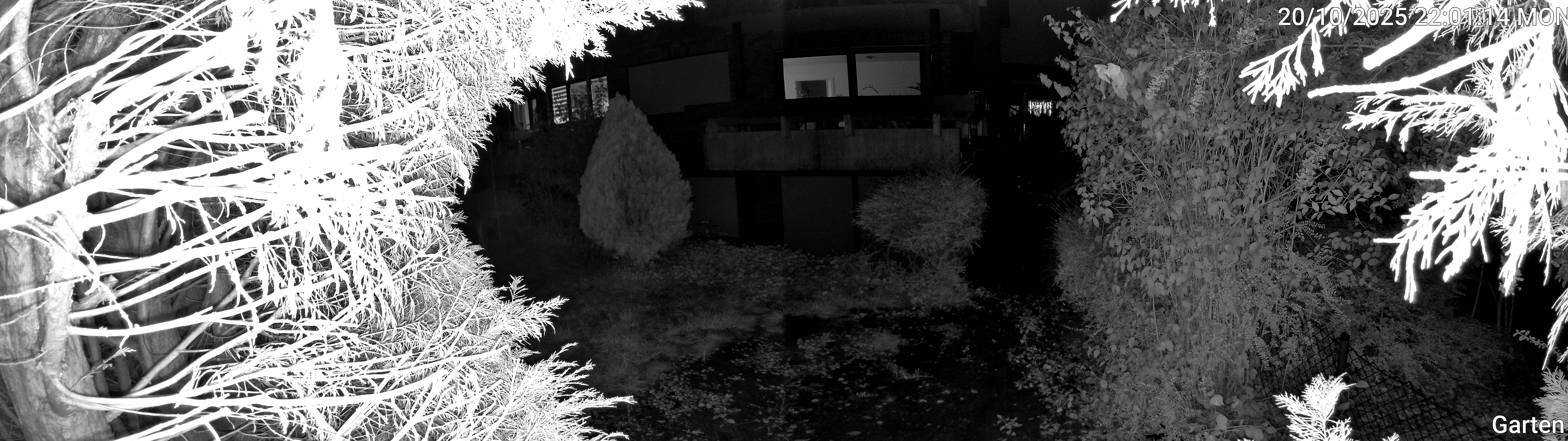 Garten_00_20251020220114.jpg