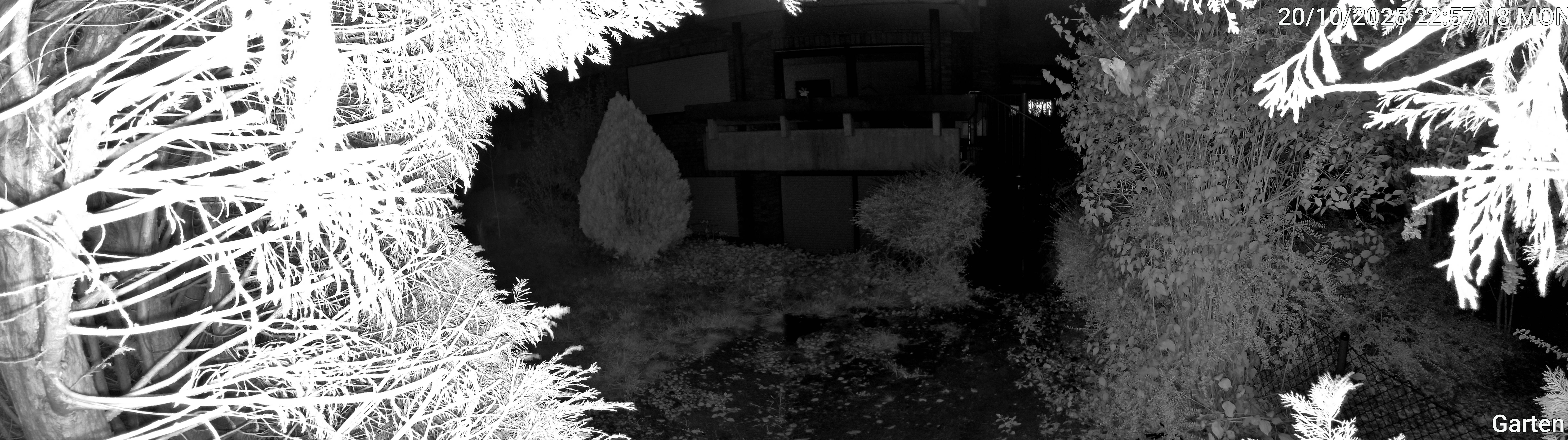 Garten_00_20251020225719.jpg