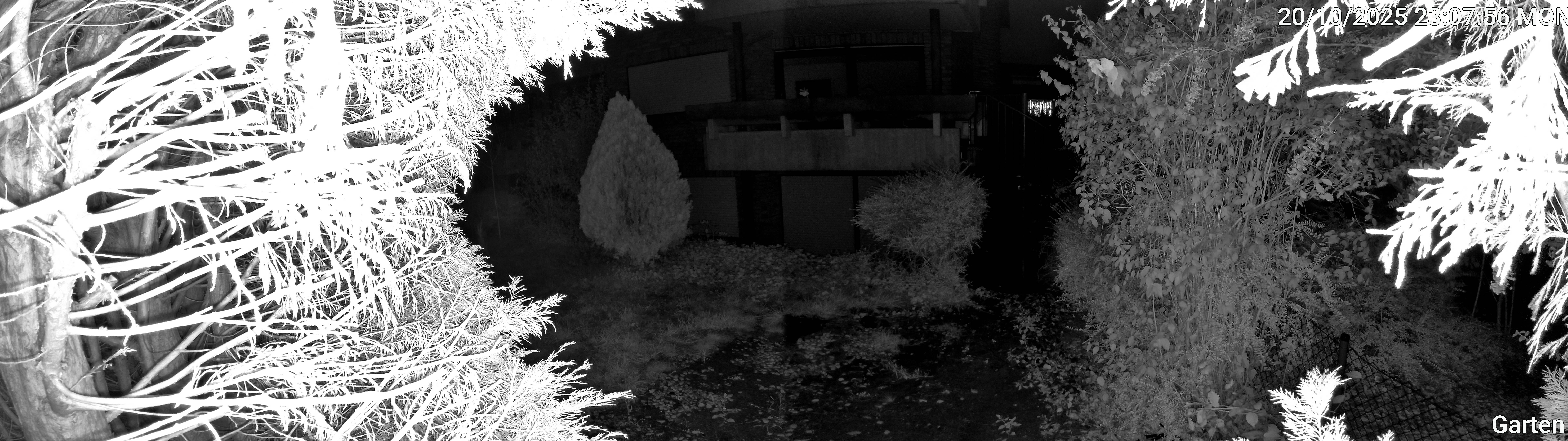 Garten_00_20251020230756.jpg