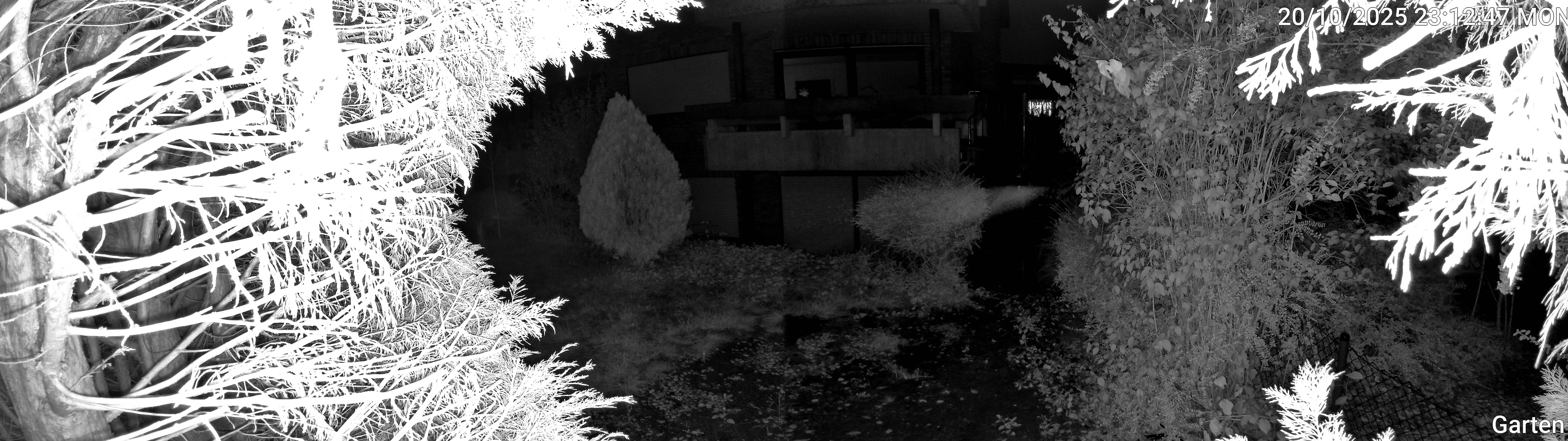 Garten_00_20251020231247.jpg