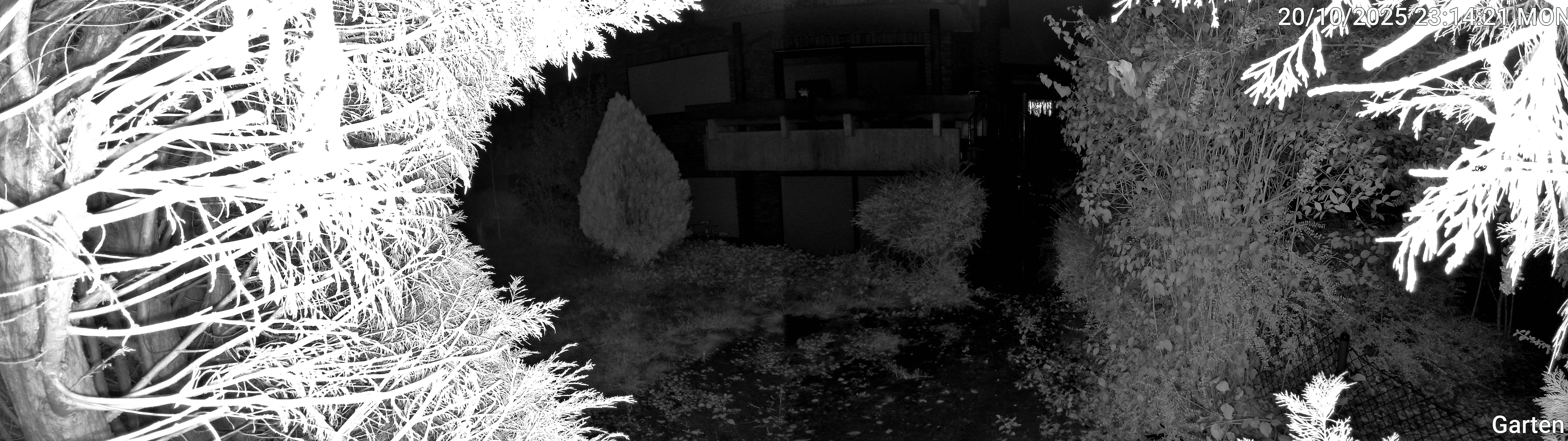 Garten_00_20251020231421.jpg