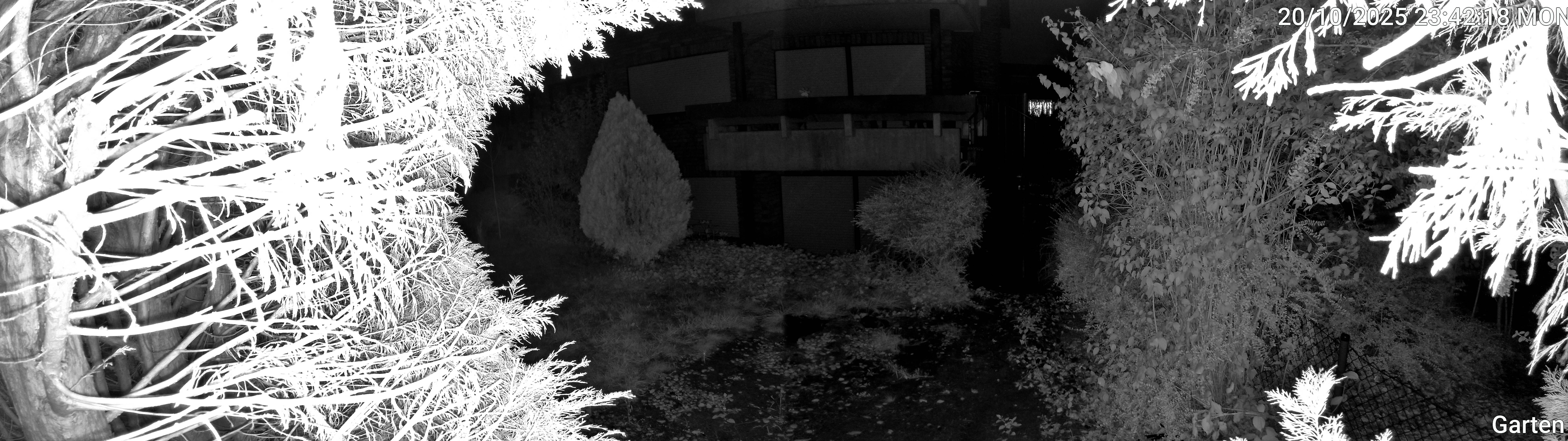 Garten_00_20251020234218.jpg