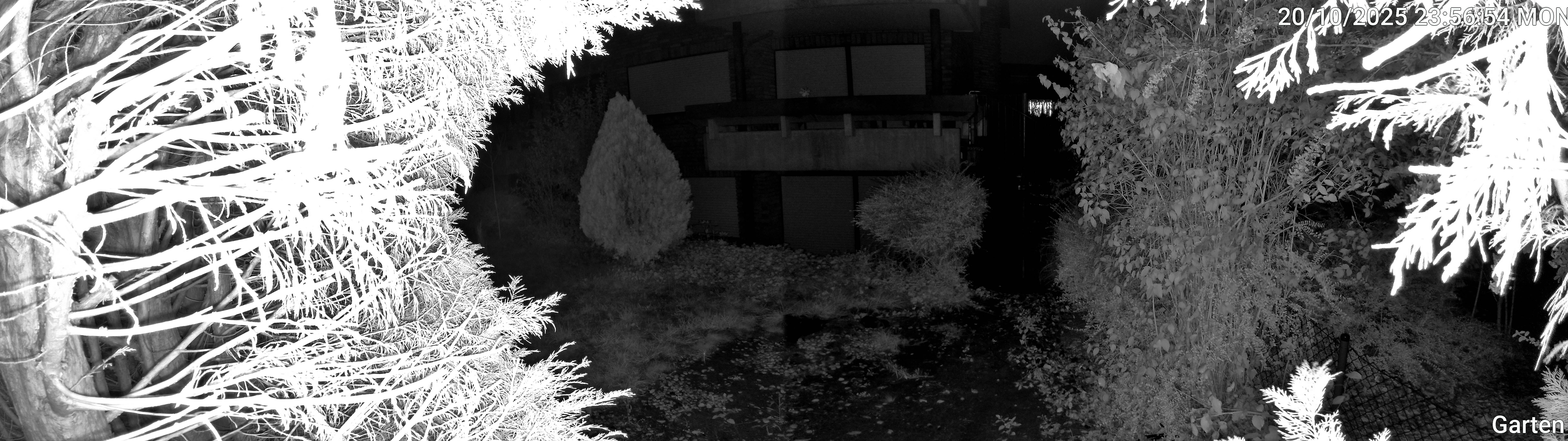 Garten_00_20251020235654.jpg