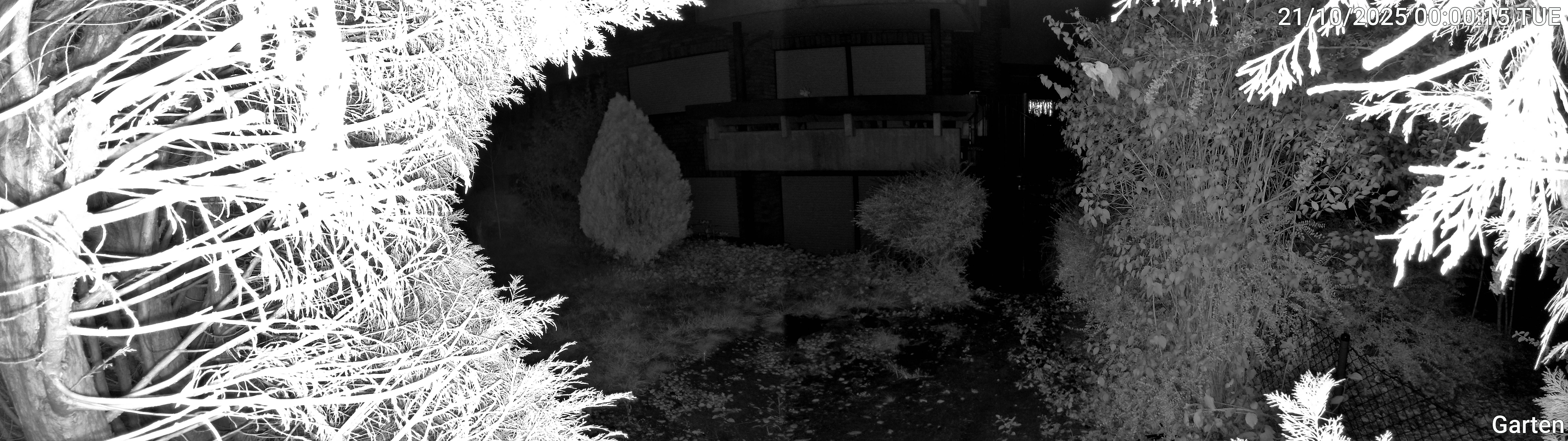 Garten_00_20251021000016.jpg