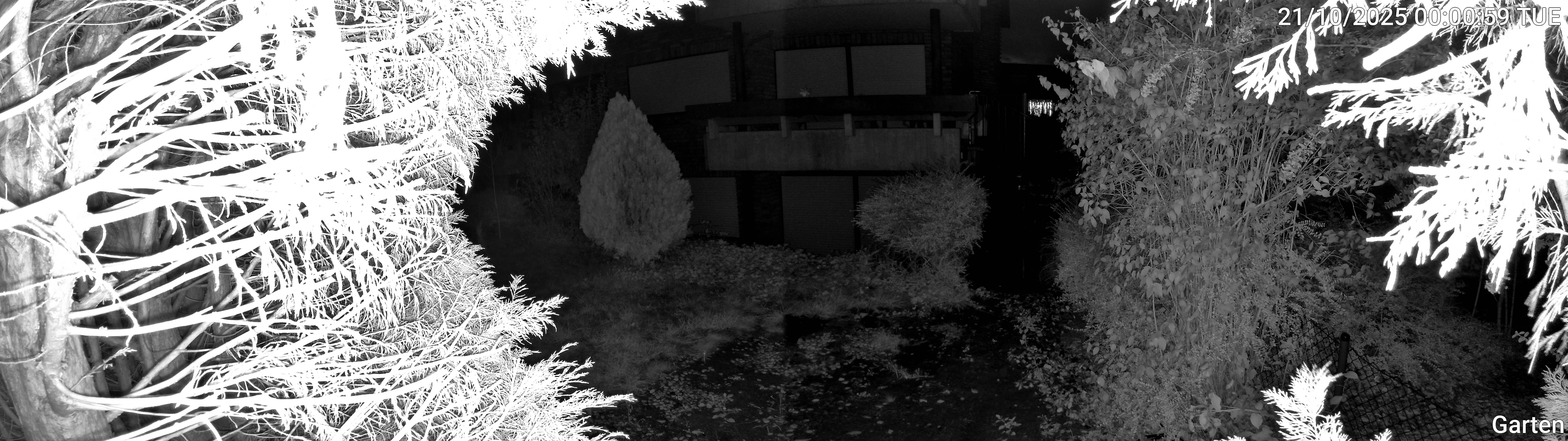 Garten_00_20251021000059.jpg