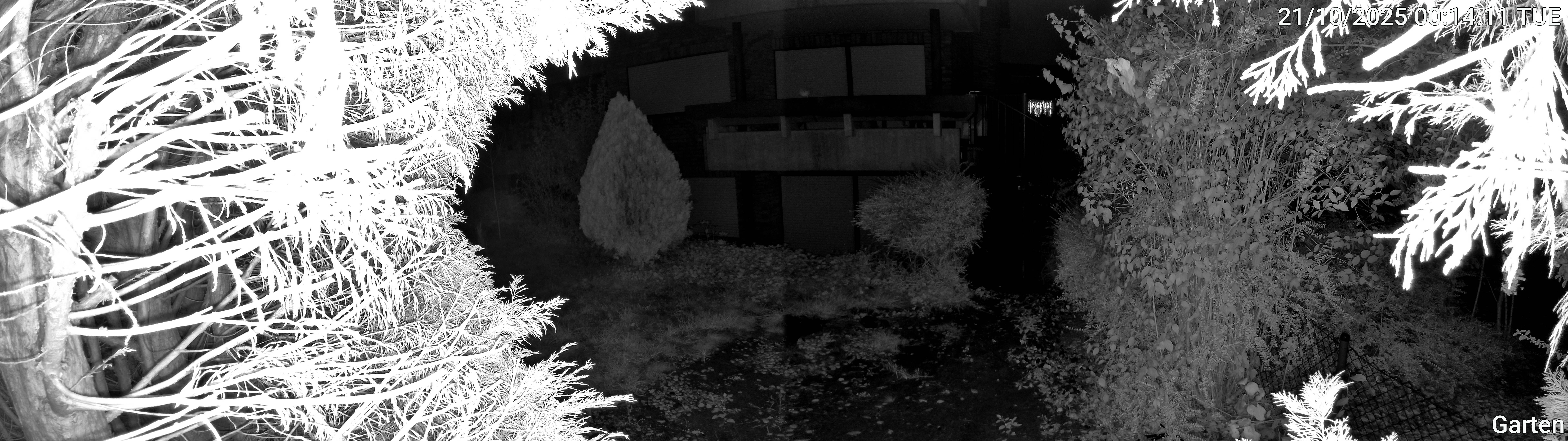 Garten_00_20251021001411.jpg